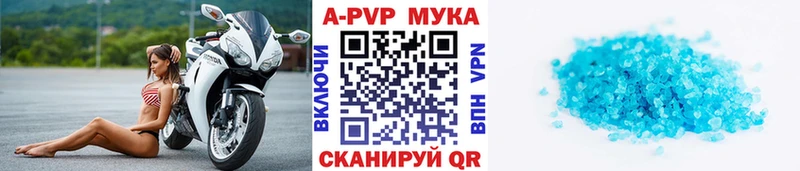 KRAKEN сайт  Кущёвская  Alfa_PVP СК КРИС 