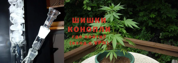 ГАЛЛЮЦИНОГЕННЫЕ ГРИБЫ Армянск