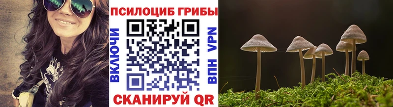 Псилоцибиновые грибы Magic Shrooms  купить наркотик  Кущёвская 
