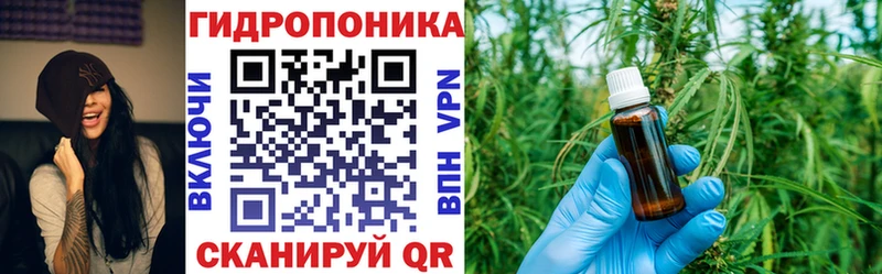 Канабис гибрид Кущёвская